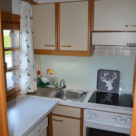 Apartment Tiroler Blockhaus
